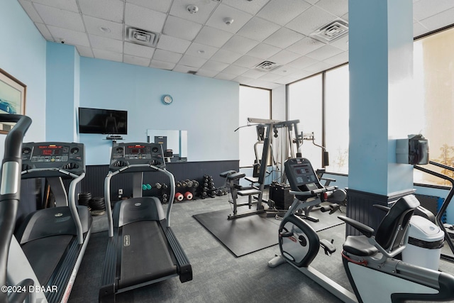 gym featuring a paneled ceiling, carpet flooring, and expansive windows