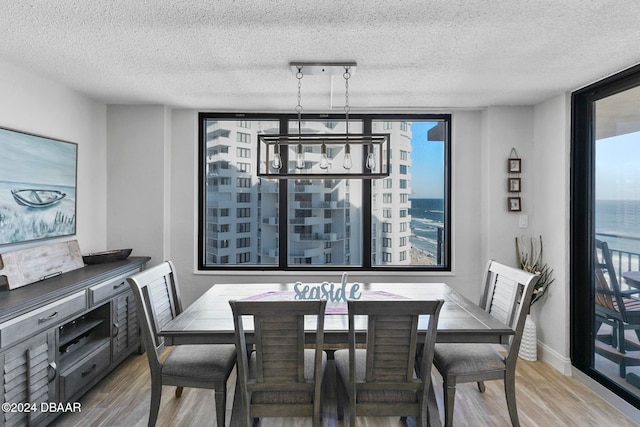 dining room with expansive windows, light hardwood / wood-style floors, and a textured ceiling