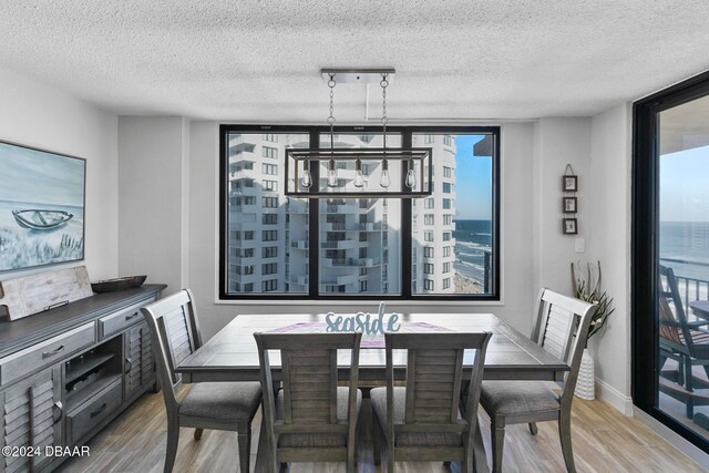 dining area featuring a textured ceiling, light hardwood / wood-style flooring, and floor to ceiling windows