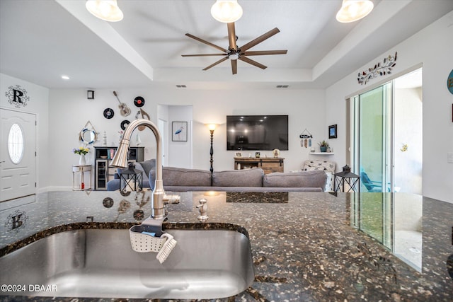 living room featuring sink, a healthy amount of sunlight, and a raised ceiling