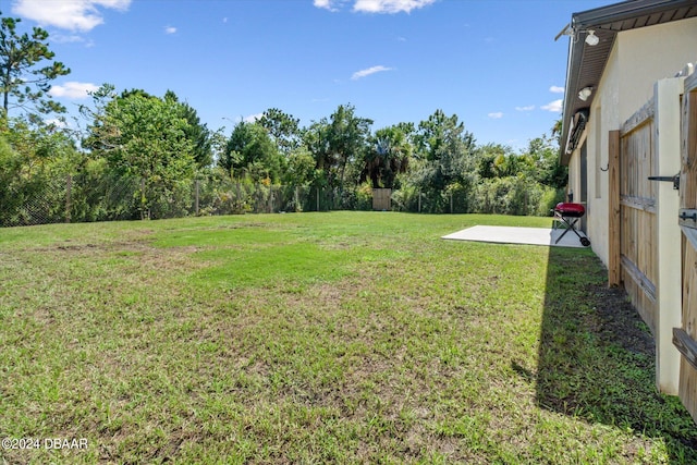 view of yard with a patio area