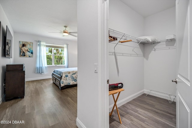 spacious closet with wood-type flooring and ceiling fan