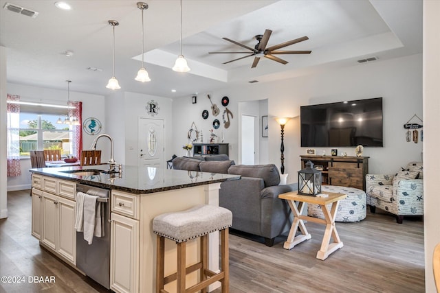 kitchen with dark stone countertops, a tray ceiling, wood-type flooring, and a kitchen island with sink