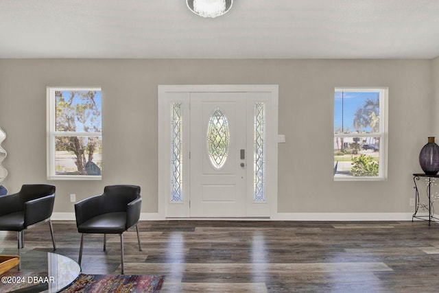 foyer with dark wood-type flooring