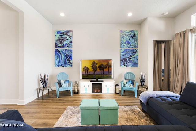 living room featuring hardwood / wood-style flooring and a fireplace