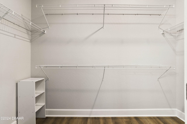 spacious closet with dark wood-type flooring