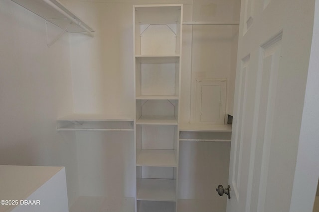 view of spacious closet