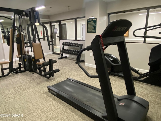 workout area with light carpet