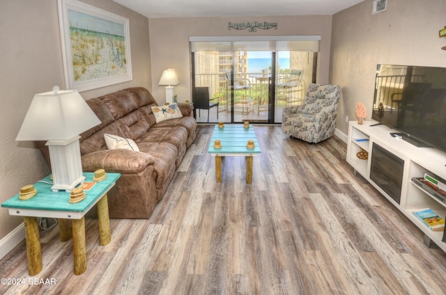 living room featuring hardwood / wood-style flooring