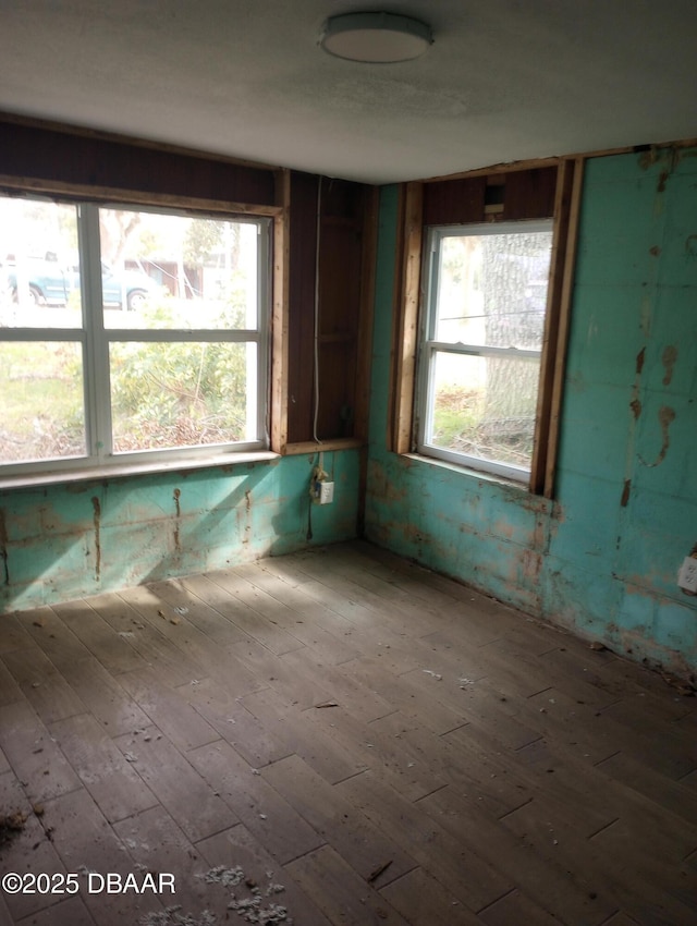 empty room with a wealth of natural light and hardwood / wood-style flooring