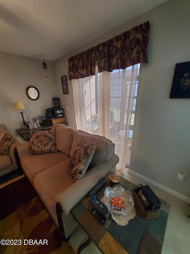 living room with carpet floors