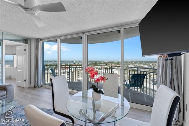 sunroom with ceiling fan