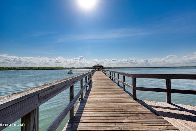 dock area with a water view