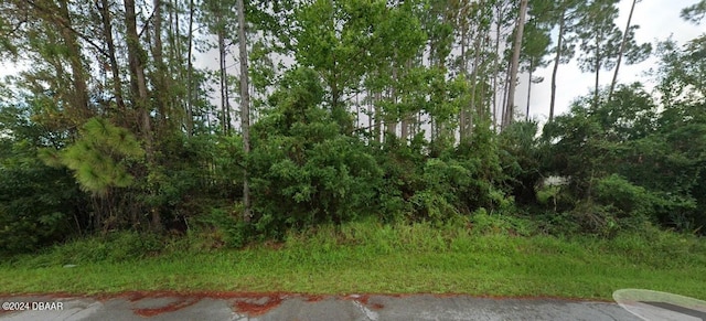 42 Burning Sands Ln, Palm Coast FL, 32137 land for sale