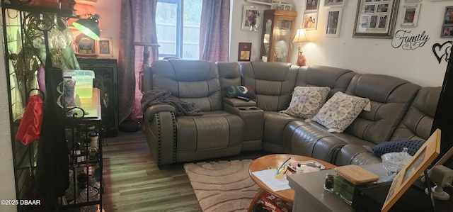 living room featuring wood finished floors