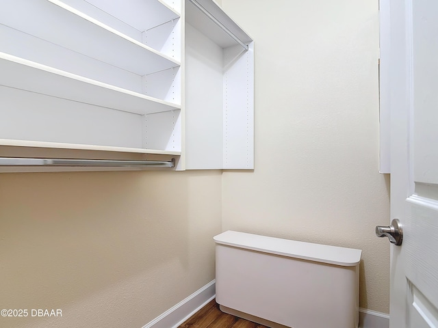 spacious closet featuring wood finished floors