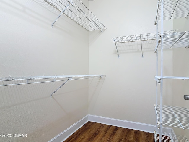 walk in closet featuring dark wood finished floors