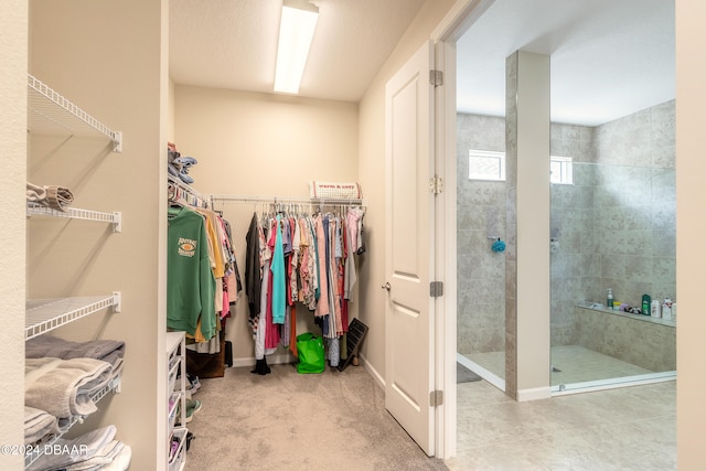 spacious closet with carpet floors