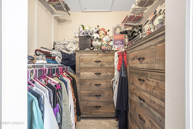 walk in closet with carpet floors