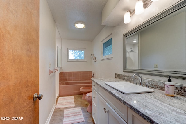 bathroom featuring vanity, hardwood / wood-style flooring, a bidet, toilet, and a tub