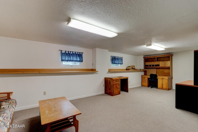 office featuring carpet, a textured ceiling, and a wealth of natural light