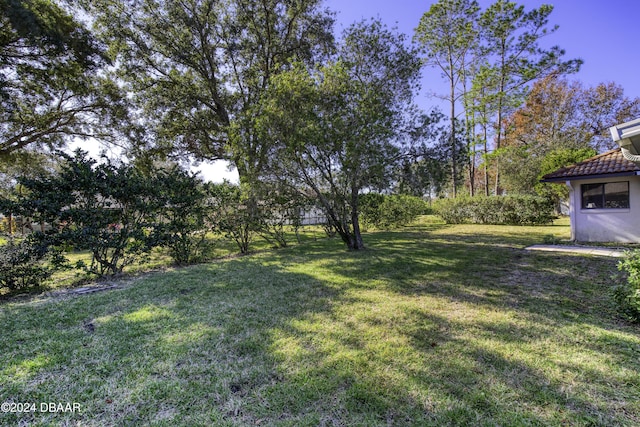 view of yard
