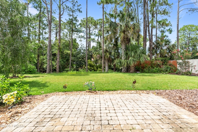 34 Raintree Cir, Palm Coast, FL 32164 - view of patio