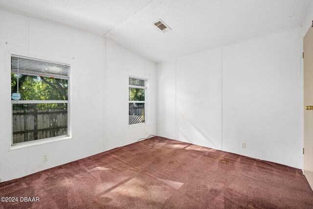 empty room featuring vaulted ceiling, carpet floors, and a textured ceiling