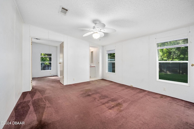 carpeted empty room featuring plenty of natural light and a textured ceiling