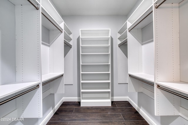 spacious closet with dark hardwood / wood-style floors