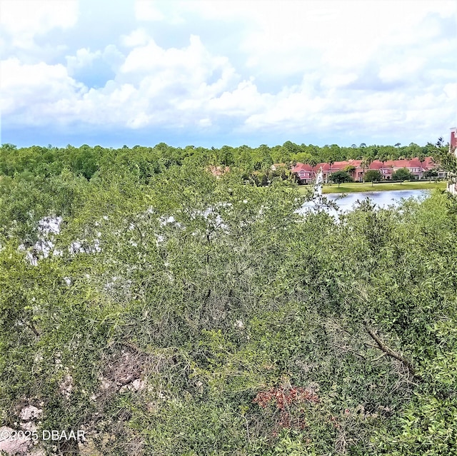 view of local wilderness featuring a water view