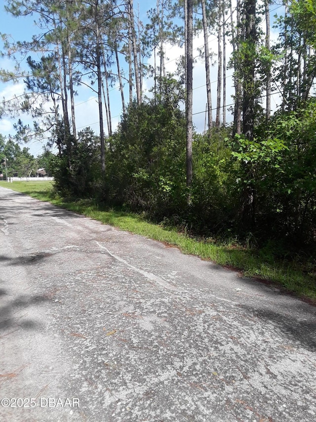 3674 Tamarack Dr, Ormond Beach, FL 32174