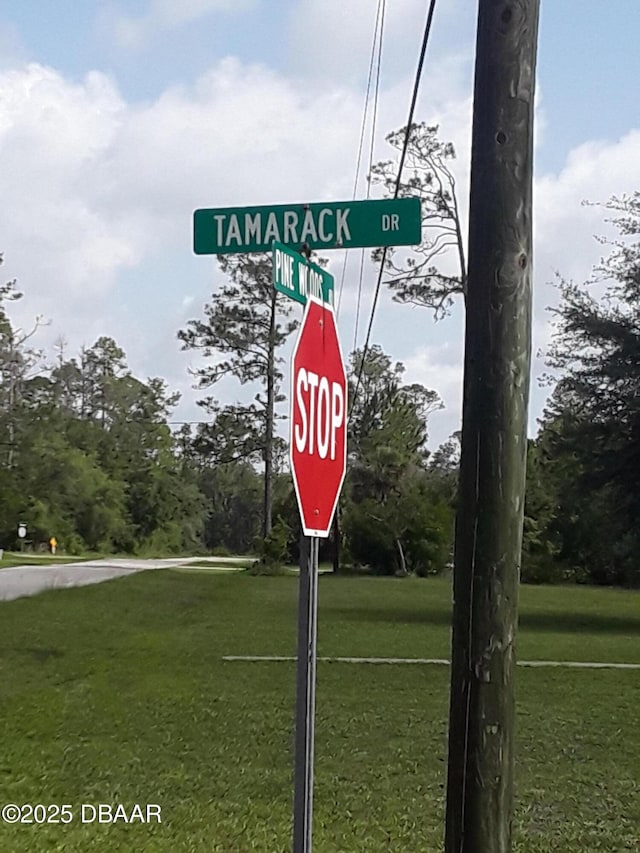 3674 Tamarack Dr, Ormond Beach, FL 32174