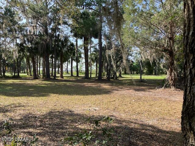 Listing photo 2 for 0 Shell Harbor Rd, Pierson FL 32180