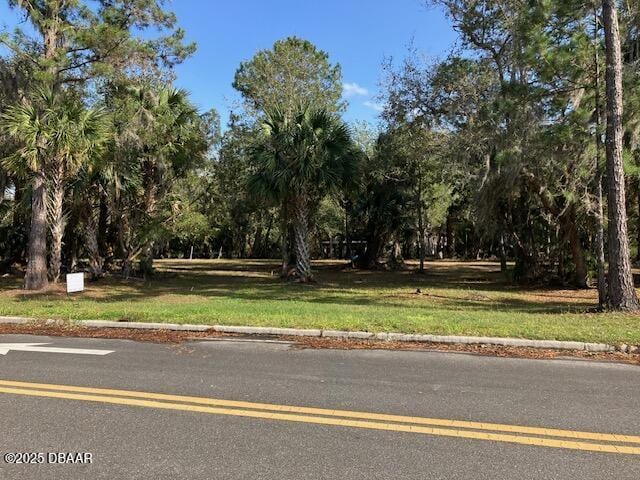 0 Shell Harbor Rd, Pierson FL, 32180 land for sale