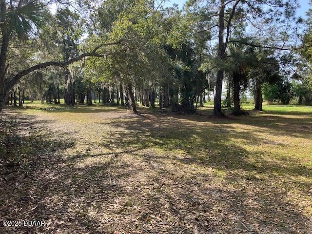 Listing photo 3 for 0 Shell Harbor Rd, Pierson FL 32180