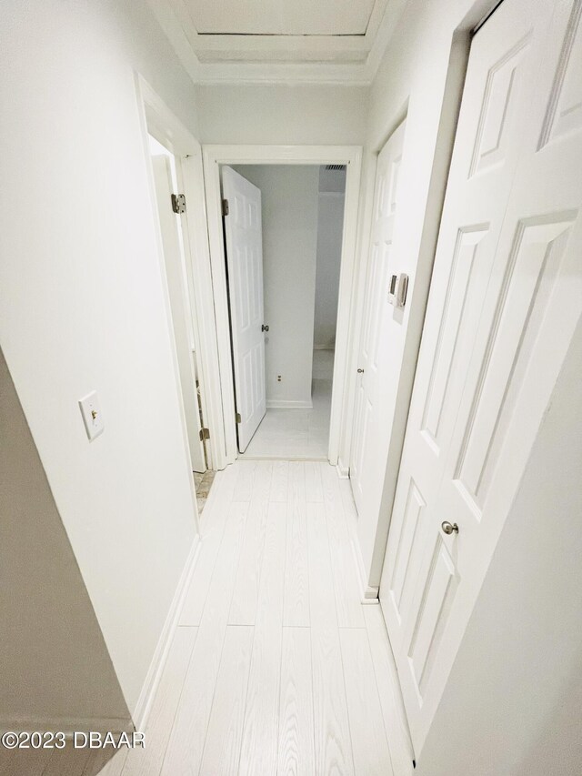840 Center Ave Unit 840, Daytona Beach, FL 32117 - hallway featuring ornamental molding, baseboards, and light wood-style flooring