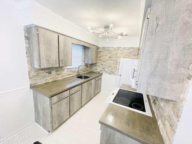 840 Center Ave Unit 840, Daytona Beach, FL 32117 - kitchen featuring a sink, crown molding, white appliances, a textured ceiling, and a wainscoted wall