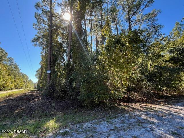 141 Hazel Ave, Georgetown, FL 32139