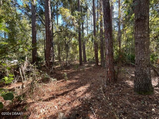 141 Hazel Ave, Georgetown, FL 32139