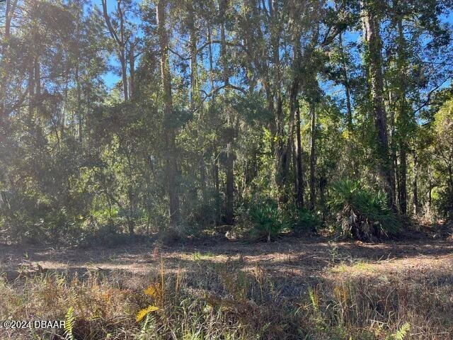 141 Hazel Ave, Georgetown, FL 32139