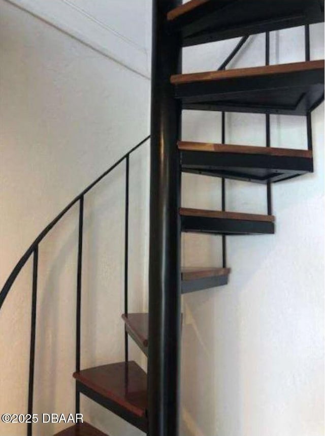 220 John Anderson Dr, Ormond Beach, FL 32176 - view of stairway