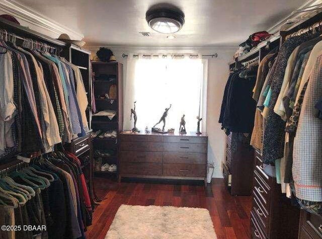 220 John Anderson Dr, Ormond Beach, FL 32176 - walk in closet with dark wood-type flooring