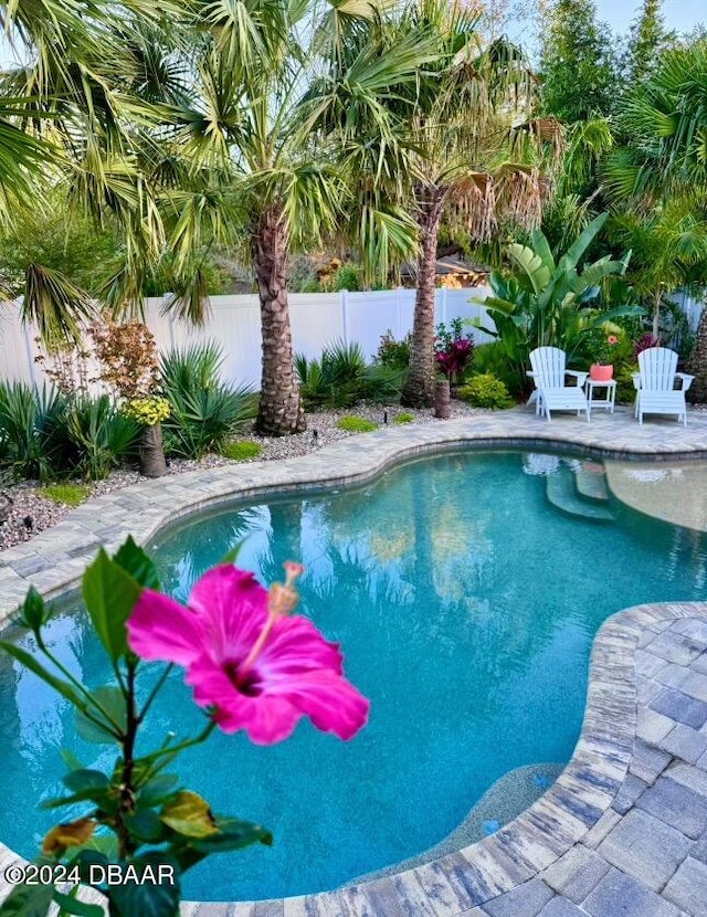 view of pool with a patio