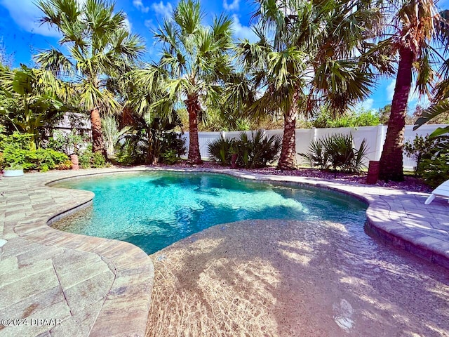 view of swimming pool