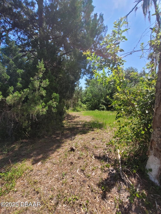 2631 Fairfax Ave, New Smyrna Beach, FL 32168