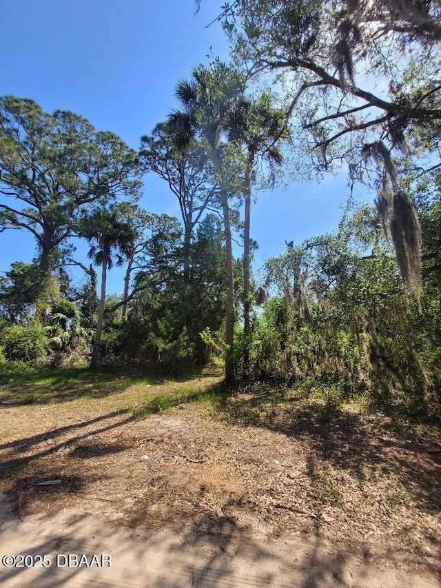 2631 Fairfax Ave, New Smyrna Beach, FL 32168