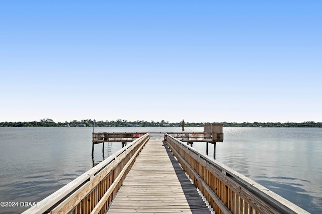 dock area with a water view