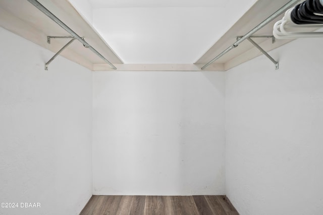 spacious closet with hardwood / wood-style floors