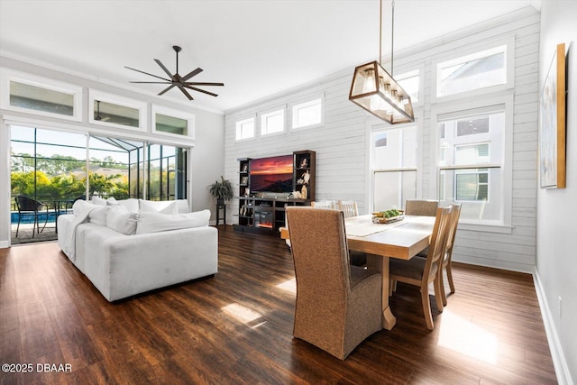 dining space with crown molding, dark wood-type flooring, and ceiling fan